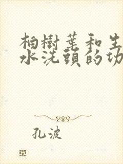 柏树叶和生姜煮水洗头的功效封面