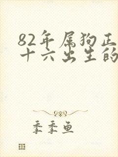 82年属狗正月十六出生的男人命运如何