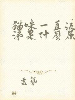 猫咪一直流黄鼻涕是什么原因