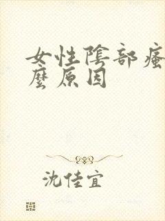 女性阴部瘙痒什么原因