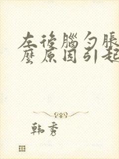 左后脑勺胀痛什么原因引起的