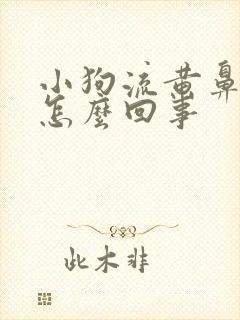 小狗流黄鼻涕是怎么回事