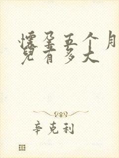 怀孕五个月的胎儿有多大