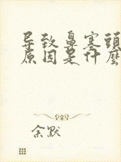 导致鼻塞头晕的原因是什么封面