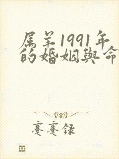 属羊1991年的婚姻与命运封面