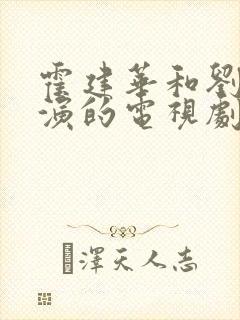 霍建华和刘亦菲演的电视剧