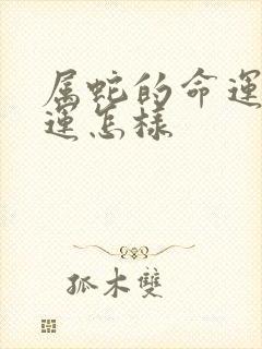 属蛇的命运和财运怎样