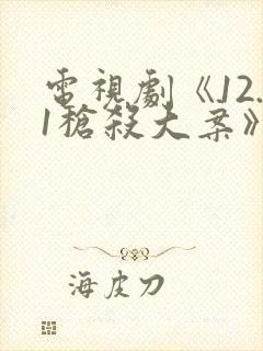 电视剧《12.1枪杀大案》高清在线观看