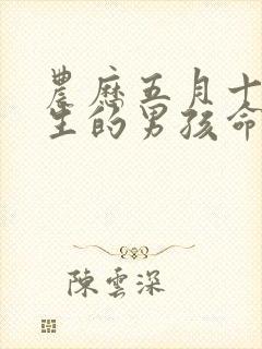 农历五月十五出生的男孩命运如何封面