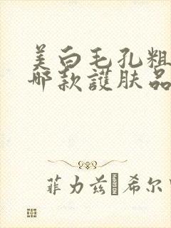 美白毛孔粗大用哪款护肤品效果更好