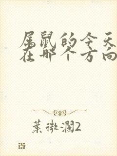 属鼠的今天财运在哪个方向封面