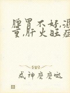 脾胃不好,湿气重,肝火旺症状封面