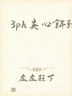 3ph夹心饼干封面