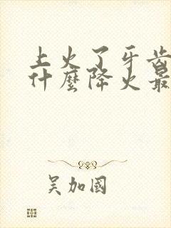 上火了牙齿痛吃什么降火最快