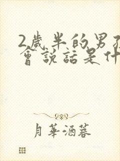 2岁半的男孩不会说话是什么原因