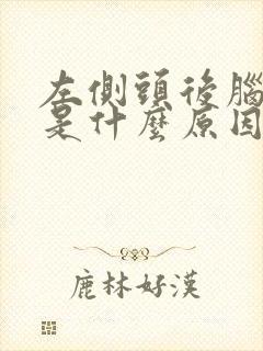 左侧头后脑勺疼是什么原因封面