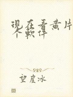 现在看黄片用哪个软件