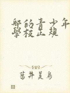 哪的青少年叛逆学校正规