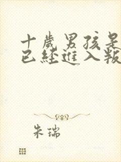 十岁男孩是不是已经进入叛逆期了封面