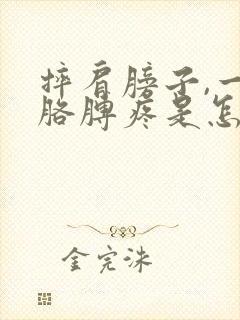 摔肩膀子,一抬胳膊疼是怎么回事