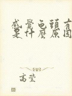 感觉龟头有点痒是什么原因