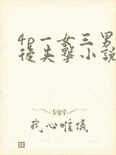 4p一女三男前后夹击小说封面