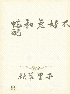 蛇和兔好不好婚配