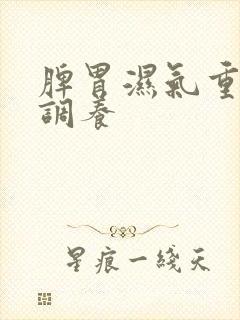 脾胃湿气重怎么调养