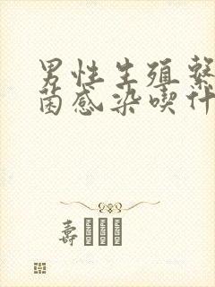 男性生殖系统真菌感染吃什么药