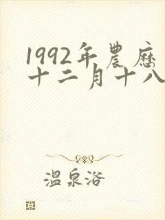 1992年农历十二月十八是什么命