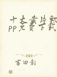 十大黄片软件app免费下载封面