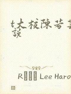 t大校陈若芸小说