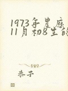 1973年农历11月初8生的命运