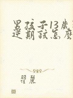 男孩子13岁叛逆期该怎么沟通