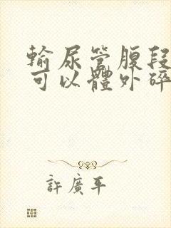 输尿管腹段结石可以体外碎石吗