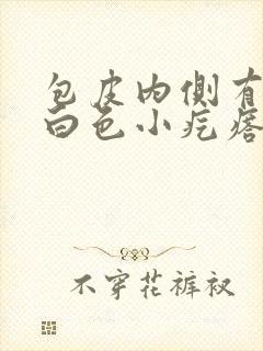 包皮内侧有一片白色小疙瘩