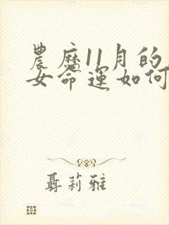 农历11月的马女命运如何