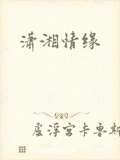 潇湘情缘封面
