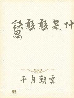 铁憨憨是什么意思