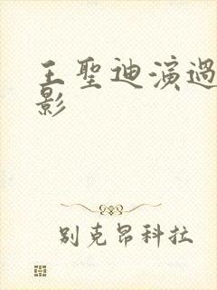 王圣迪演过的电影