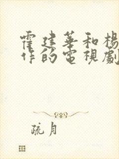 霍建华和杨幂合作的电视剧封面