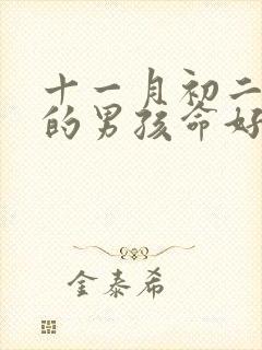 十一月初二出生的男孩命好吗