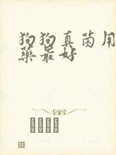 狗狗真菌用什么药最好