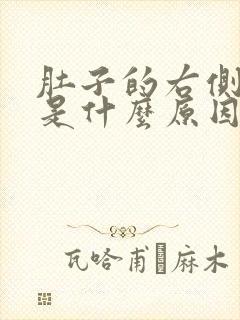 肚子的右侧疼痛是什么原因封面