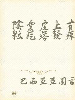 阴囊皮上有小米粒疙瘩发痒