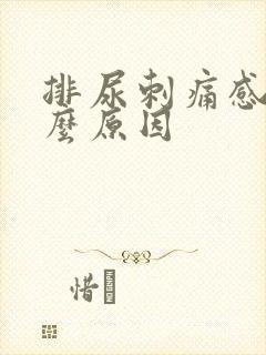 排尿刺痛感是什么原因