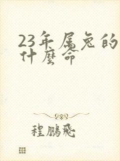 23年属兔的是什么命