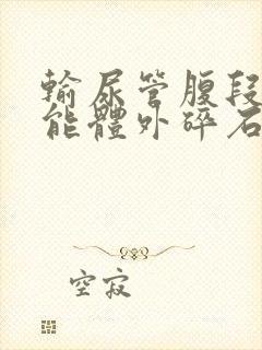 输尿管腹段结石能体外碎石吗