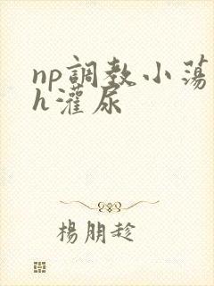 np调教小荡货h灌尿