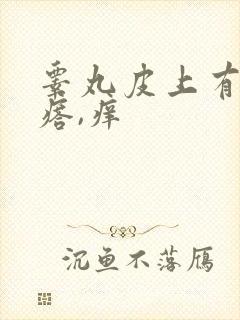 睾丸皮上有小疙瘩,痒